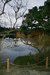 Пруд мандариновых уток Kyoyochi Pond.