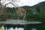 Хурма на фоне Kyoyochi Pond.